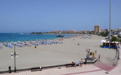 Siete detenidos por cometer robos y hurtos en el sur de Tenerife