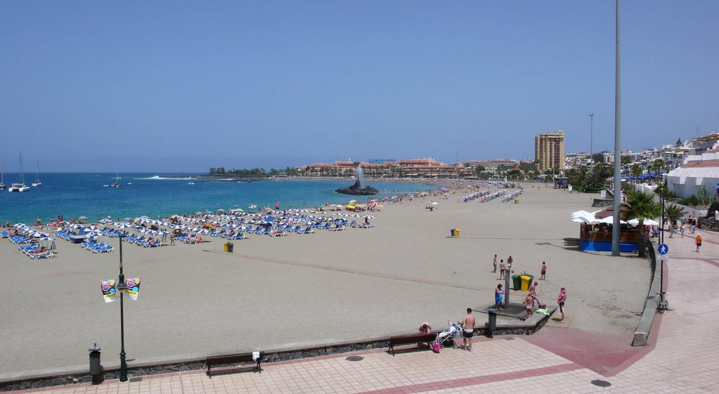 Siete detenidos por cometer robos y hurtos en el sur de Tenerife