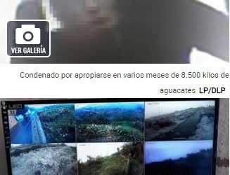 Tres años y medio de cárcel por el robo “sistemático’ de aguacates.