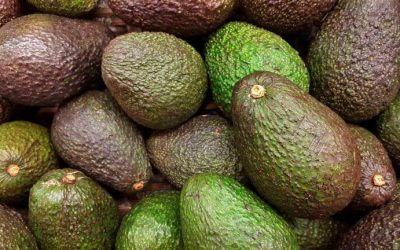 Detenido por robar 500 kilos de aguacates en una finca de Tenerife.