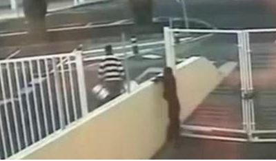 Quebrantan el estado de alarma para robar en un hotel de Lanzarote a plena luz del día