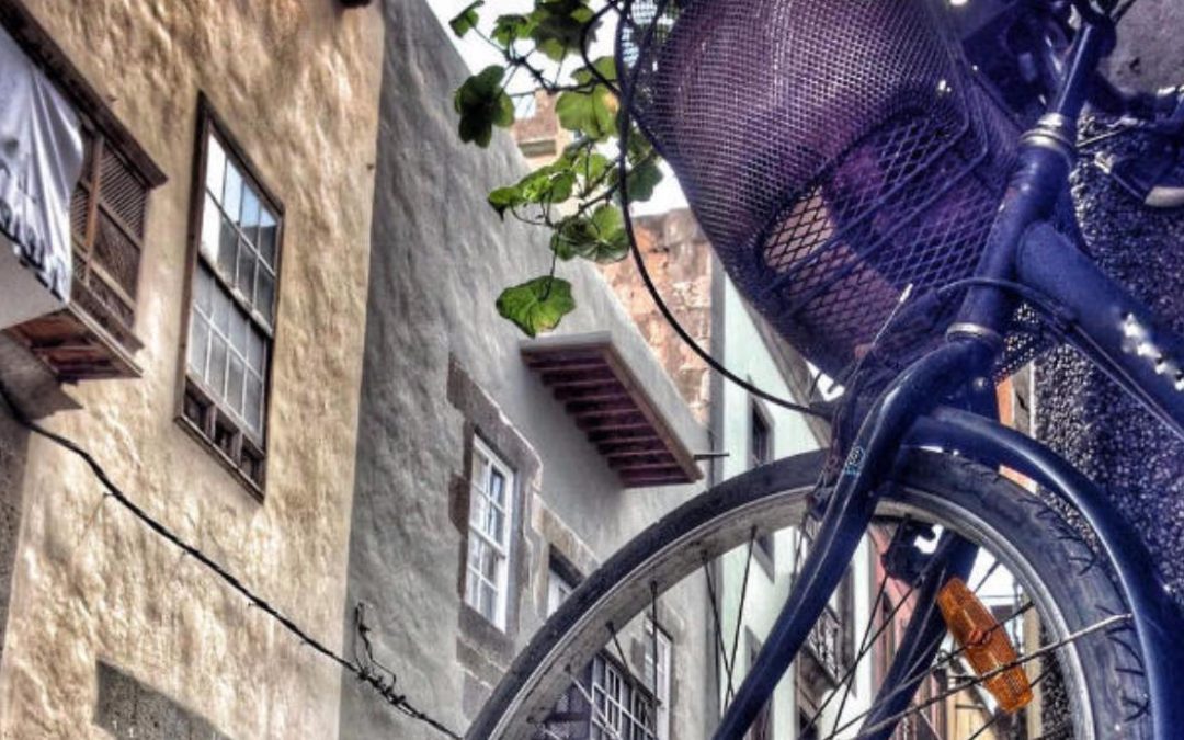 Salta una valla de dos metros para robar una bicicleta en San Fernando