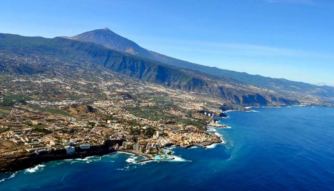 Doce denunciados tras el robo de 1.800 kilos de aguacates en el Norte de Tenerife