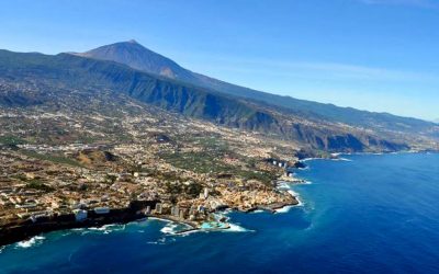 Doce denunciados tras el robo de 1.800 kilos de aguacates en el Norte de Tenerife