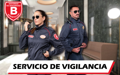 FUNCIONES DE LOS VIGILANTES DE SEGURIDAD