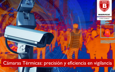 Cámaras Térmicas: precisión y eficiencia en vigilancia
